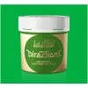 Directions Semi Permanent Hair Dye Spring Green 2 Directions Semi Permanent Hair Dye Spring Green -Smashed Lemons shop directions haircolour spring green 0 eb4c306b 8b7d 4840 a782 dca9873fde54 1024x1024