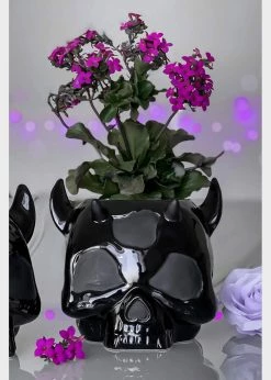 Killstar Styx Ashmedai Skull Planter Black