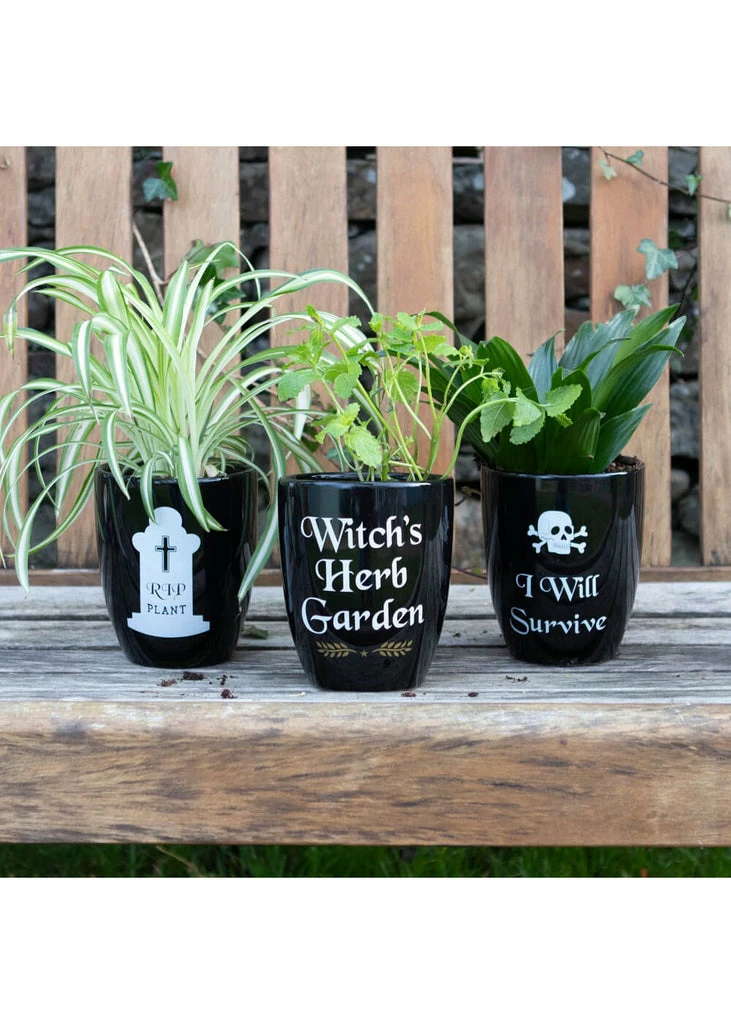 Succubus Witch's Herb Garden Planter Black 4 Succubus Witch's Herb Garden Planter Black - Image 2