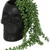 Succubus Home Skull Plant Pot Black -Smashed Lemons shop succubus home MT94422 skull plant pot blk 3 1024x1024