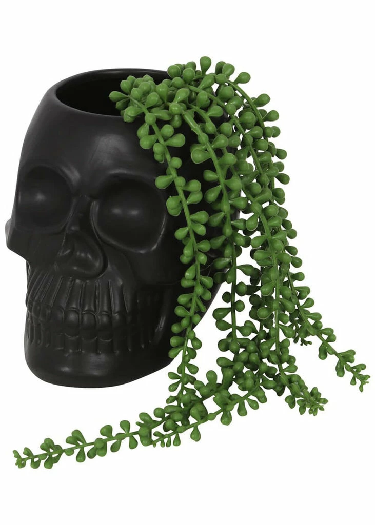 Succubus Home Skull Plant Pot Black 3 Succubus Home Skull Plant Pot Black