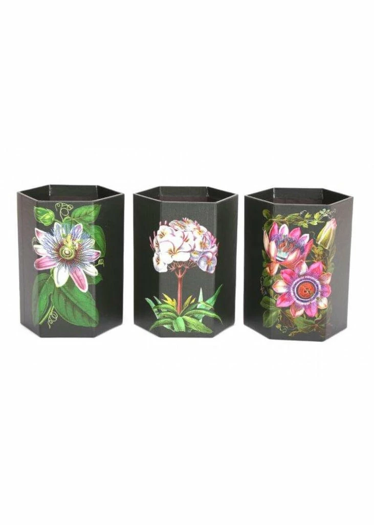 Temerity Jones Botanical Garden Set 3 Pen Pots Black 3 Temerity Jones Botanical Garden Set 3 Pen Pots Black
